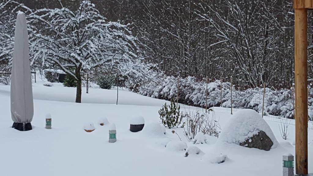 Le Clos Des Aulnes Anould Buitenkant foto