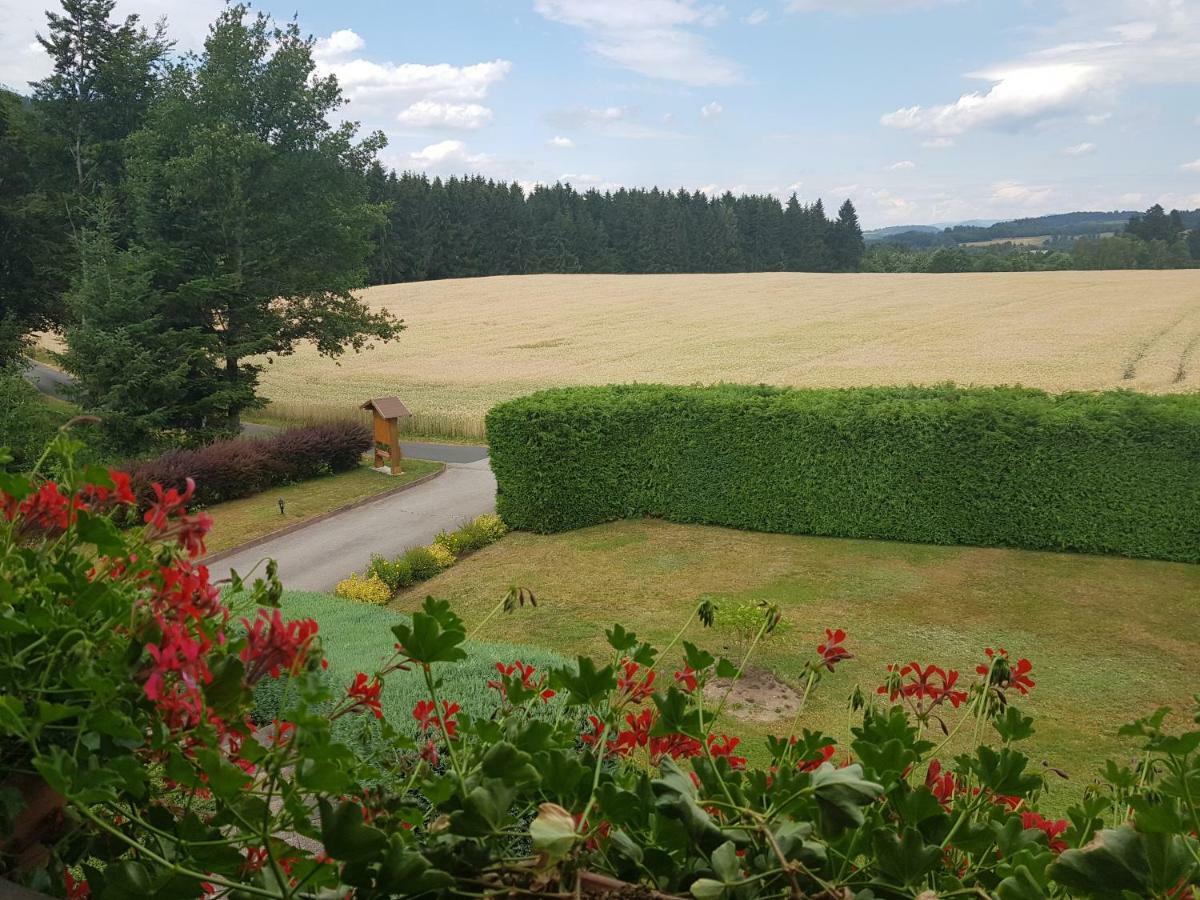 Le Clos Des Aulnes Anould Buitenkant foto