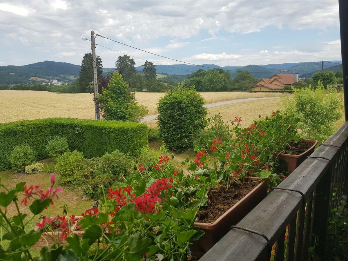 Le Clos Des Aulnes Anould Buitenkant foto